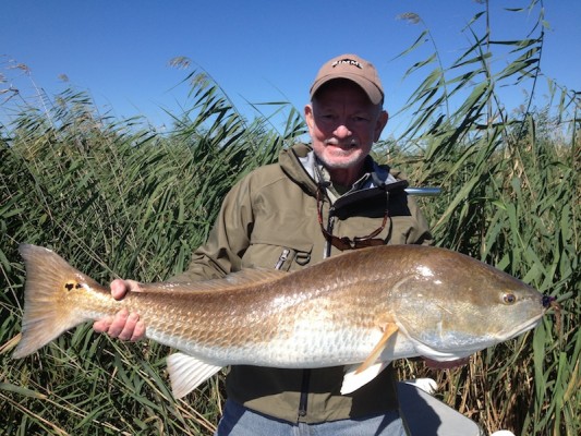 Louisiana-Red-Fish-2013-3
